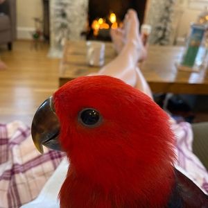 Meet your Posher, Heather